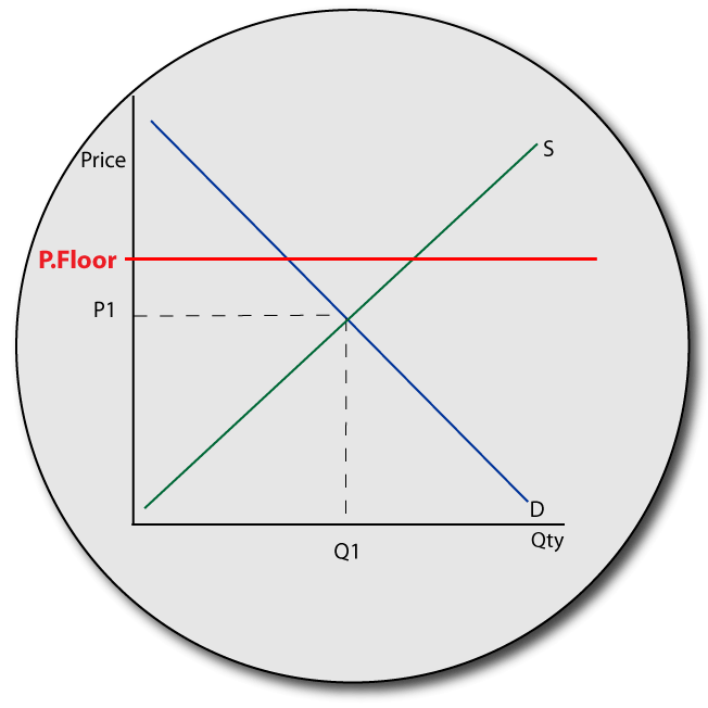 IB economics price floor